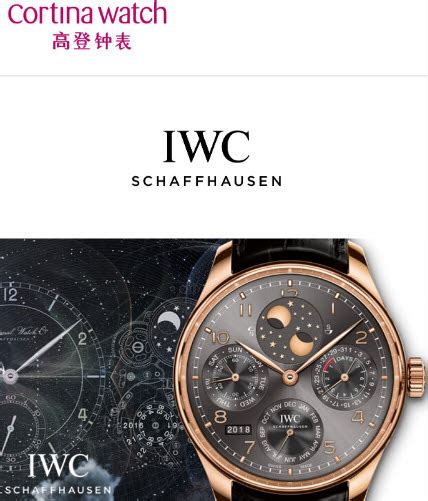 iwc watch price singapore|iwc watches price range.